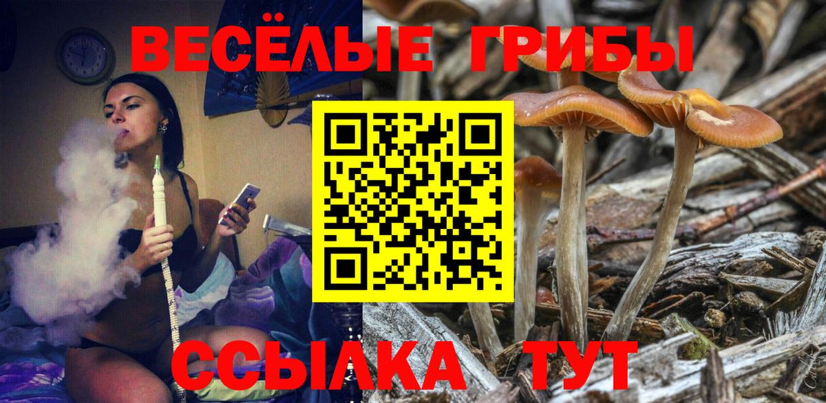 ГАШ Мичуринск