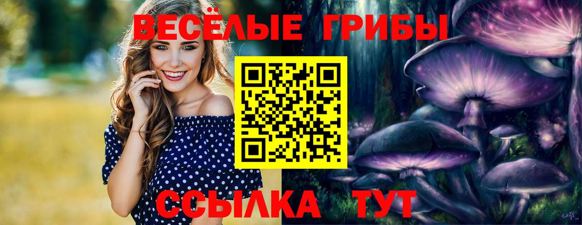 Мичуринск  Галлюциногенные грибы прущие грибы  Псилоцибиновые грибы прущие грибы  Вход с VPN 